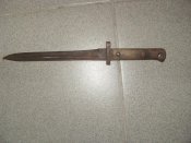 SDC11345.jpg