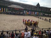 IMG_20190516_142824.jpg