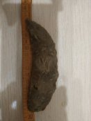 IMG_20190609_204834.jpg