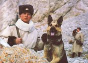 Тулуп. Бекеша. 54 размер. ВС СССР. Новый!