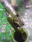 IMG_20190605_191035.jpg