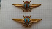 Лётный знак(2шт) штурман 1 класс ВВС СССР