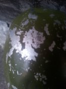 20190608_183051.jpg