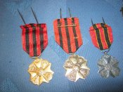 IMG_6249.jpg