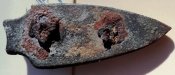 DSC06153.jpg