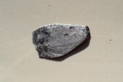 DSC06155.jpg