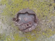 SP_A0856_новый размер.jpg