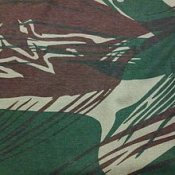 Rhodesian_Brushstroke_pattern.jpg