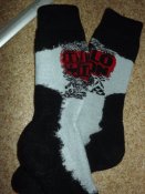 DSCF5835.JPG