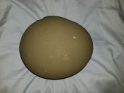20190613_233127.jpg