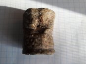 20190614_074109.jpg