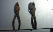 20190615_095541.jpg