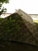 IMG_20190615_104434.jpg