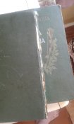 20190616_170523.jpg