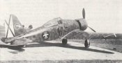 G.50.jpg