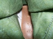 100_4405.jpg