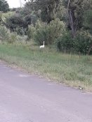 20190617_192831.jpg