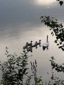 20190617_193027.jpg