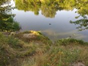 IMG_20190618_063127.jpg