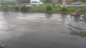 IMAG0167.jpg