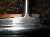IMG_1431.jpg