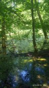 IMG_20190618_140714.jpg