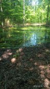 IMG_20190618_144048.jpg