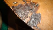 DSC05402.jpg
