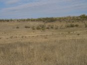 CIMG8558.jpg