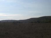 CIMG8559.jpg