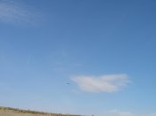 CIMG8566.jpg