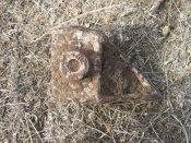 CIMG8570.jpg