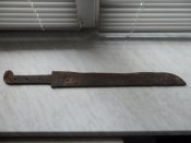 SAM_2313.jpg
