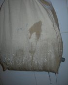 DSCN0782.JPG