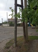 IMG_20190622_153416.jpg