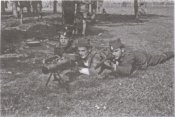 SDS 1942. holand. mitr. Luis.JPG