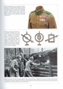 Offelli-vol-I-144.jpg