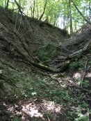 IMG_20190626_165752.jpg