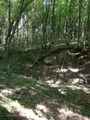 IMG_20190626_165139.jpg