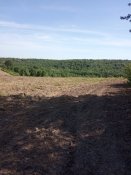 IMG_20190626_162216.jpg