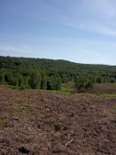 IMG_20190626_163649.jpg