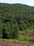 IMG_20190626_163645.jpg