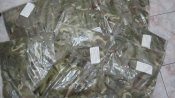 Китель MTP Великобритания 200/120 (новый,оригинал )-270грн