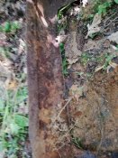 IMG_20190627_103810.jpg