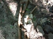 IMG_20190628_180754.jpg