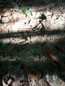IMG_20190628_180823.jpg