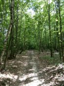 IMG_20190628_170043.jpg