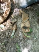 IMG_20190628_165703.jpg