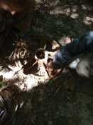 IMG_20190628_165651.jpg
