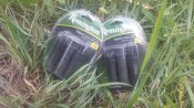 20190628_135024.jpg